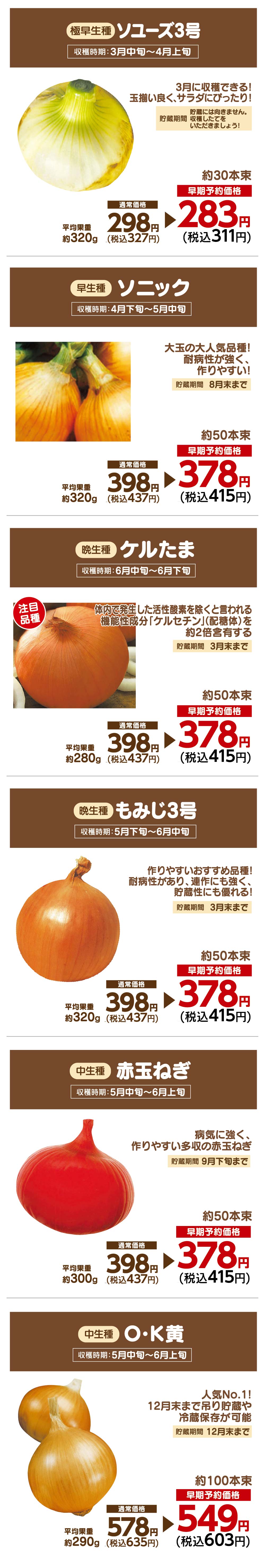 玉ねぎ苗早期予約|ホームセンターバロー