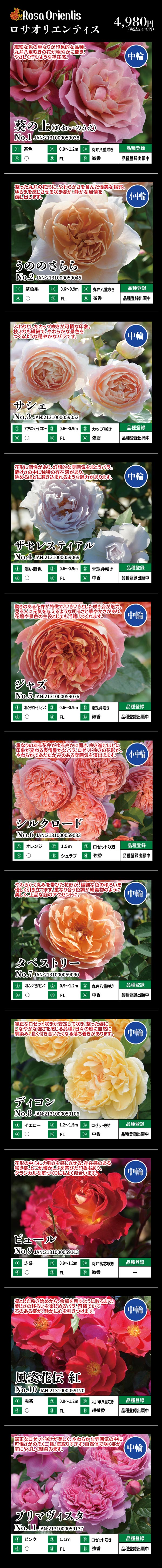 2026年春バラ苗予約|ホームセンターバロー