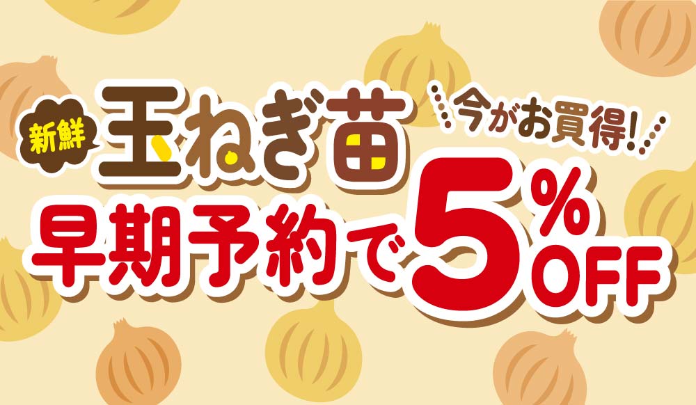 玉ねぎ苗早期予約|ホームセンターバロー